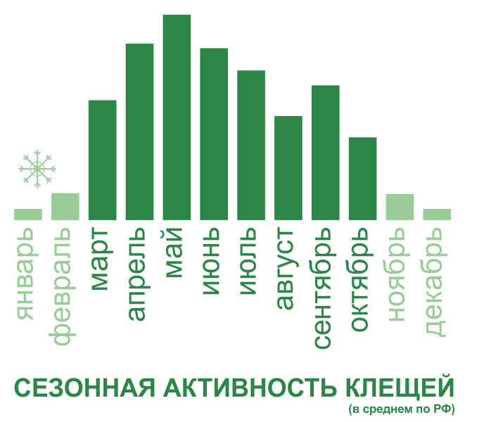 Акарицидная обработка от клещей территории и участков в Владивостоке. Цены